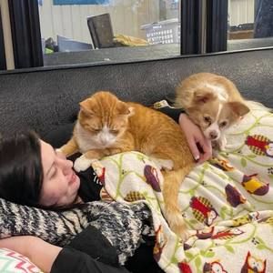 Meet your Posher, Kala